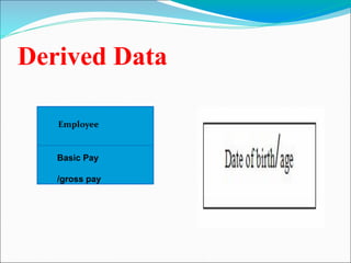 Derived Data
Employee
Basic Pay
/gross pay
 