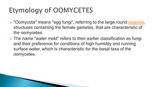  "Oomycota" means "egg fungi", referring to the large round oogonia,
structures containing the female gametes, that are characteristic of
the oomycetes.
 The name "water mold" refers to their earlier classification as fungi
and their preference for conditions of high humidity and running
surface water, which is characteristic for the basal taxa of the
oomycetes.
 