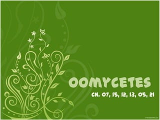 Oomycetes CN. 07, 15, 12, 13, 05, 21 