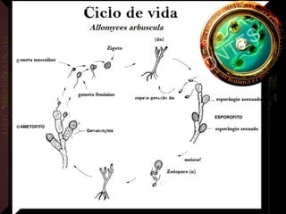 MARTIN
RODRIGUEZ PONTES
 