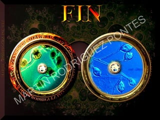 MARTIN
RODRIGUEZ PONTES
 