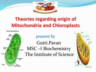 Theories regarding origin of
Mitochondria and Chloroplasts
prasent by
Gutti.Pavan
MSC –I Biochemistry
The Institute of Science
 