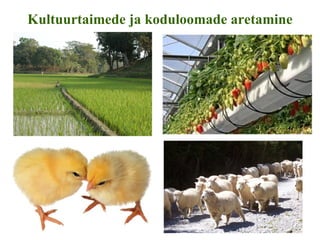 KALA  SALAMANDER  KILPKONN  KANA  SIGA  LEHM  KÜÜLIK  INIMENE http://www.teachersdomain.org/resources/tdc02/sci/life/cyc/embryo/index.html   