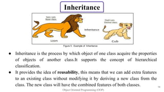 Comprehensive Introduction to Object Oriented Programming Concepts and ...
