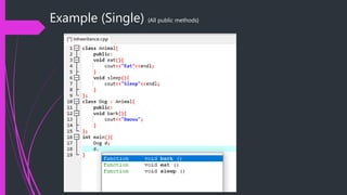 Example (Single) {All public methods}
 