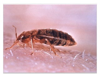 Technical Excellence
OOP, Munich 2015
www.wingman-sw.com
Oop@wingman-sw.com
Copyright © 2008-2014 James W. Grenning	

All Rights Reserved @jwgrenning.
164
 