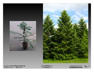 213Technical Excellence
OOP, Munich 2015
www.wingman-sw.com
Oop@wingman-sw.com
Copyright © 2008-2014 James W. Grenning	

All Rights Reserved @jwgrenning. The End
__EVENT__ www.wingman-sw.com
james@wingman-sw.com
Copyright © 2008-20XX James W. Grenning	

All Rights Reserved @jwgrenning.
http://commons.wikimedia.org/wiki/File:Abies_nordmanniana_PAN_2.jpg
 