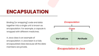What is OOPs Concepts in Java? - Tpoint Tech | PDF
