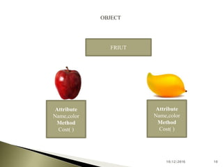 object oriented programming(syed munib ali 11b-023-bs) | PPT