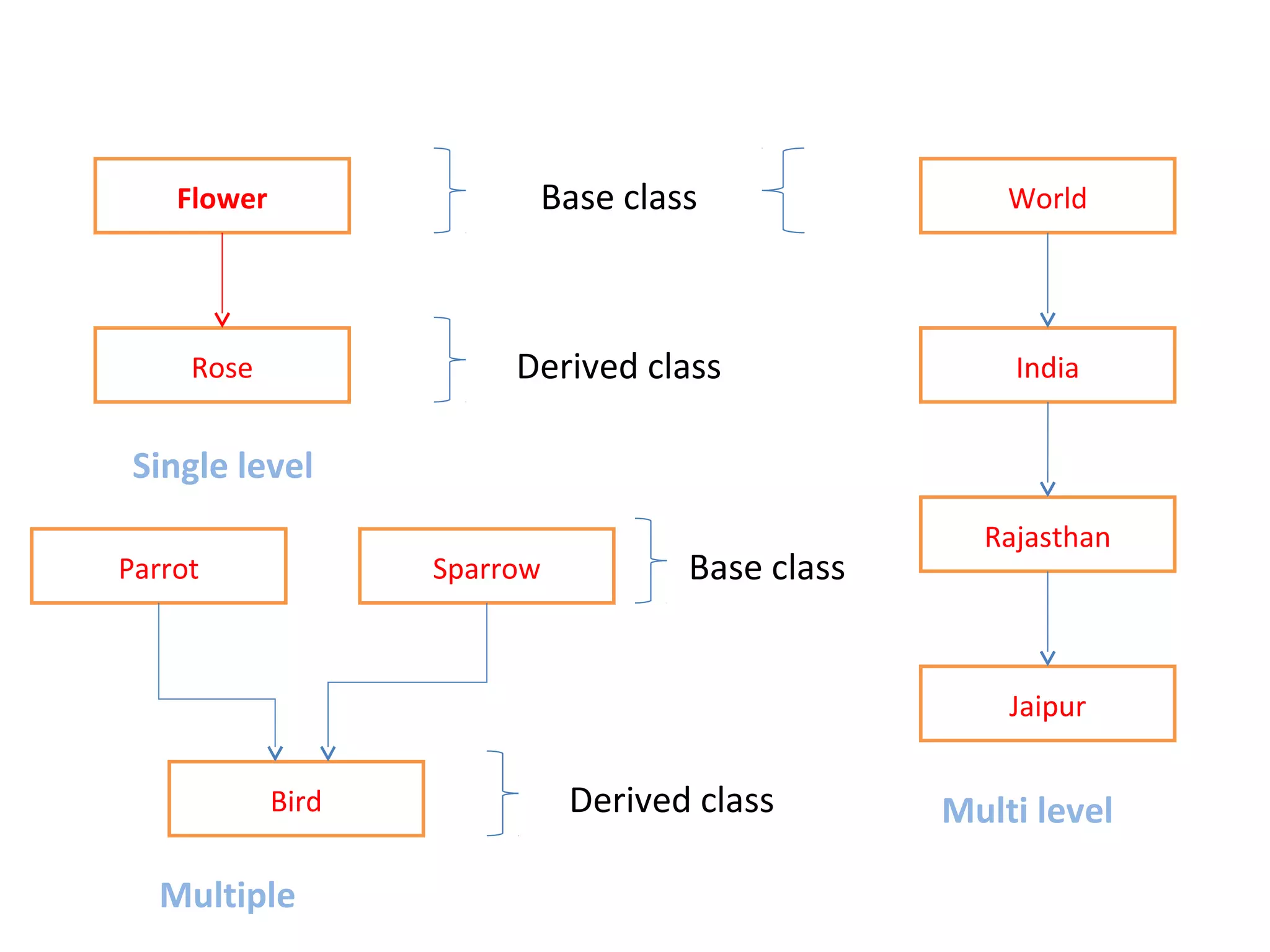 Base classFlower
Rose
Rajasthan
Jaipur
World
IndiaDerived class
Single level
Multi levelBird
Parrot Sparrow
Multiple
Base class
Derived class
 