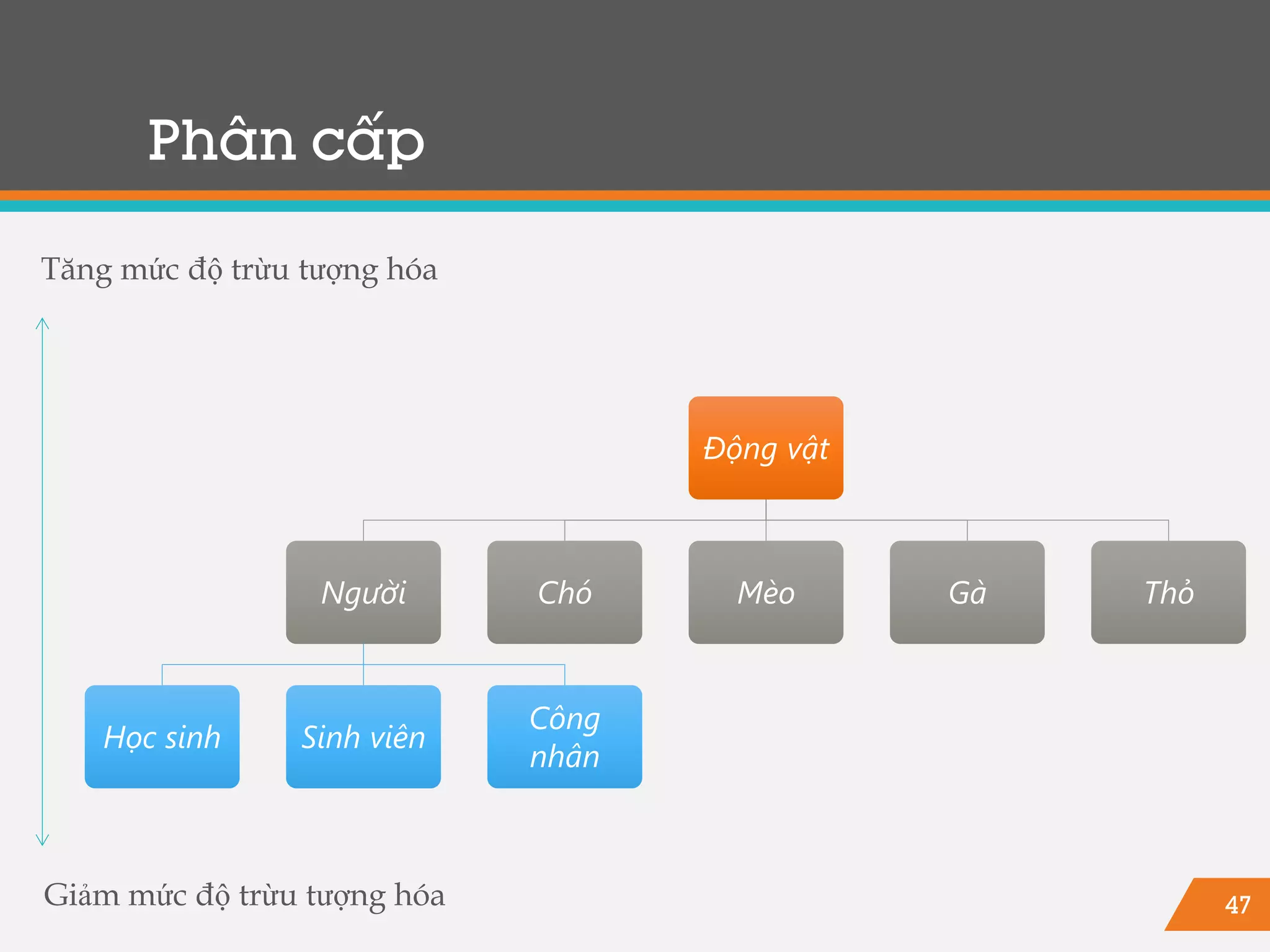 47
Phân cấp
Động vật
Người
Học sinh Sinh viên
Công
nhân
Chó Mèo Gà Thỏ
Tăng mức độ trừu tượng hóa
Giảm mức độ trừu tượng hóa
 