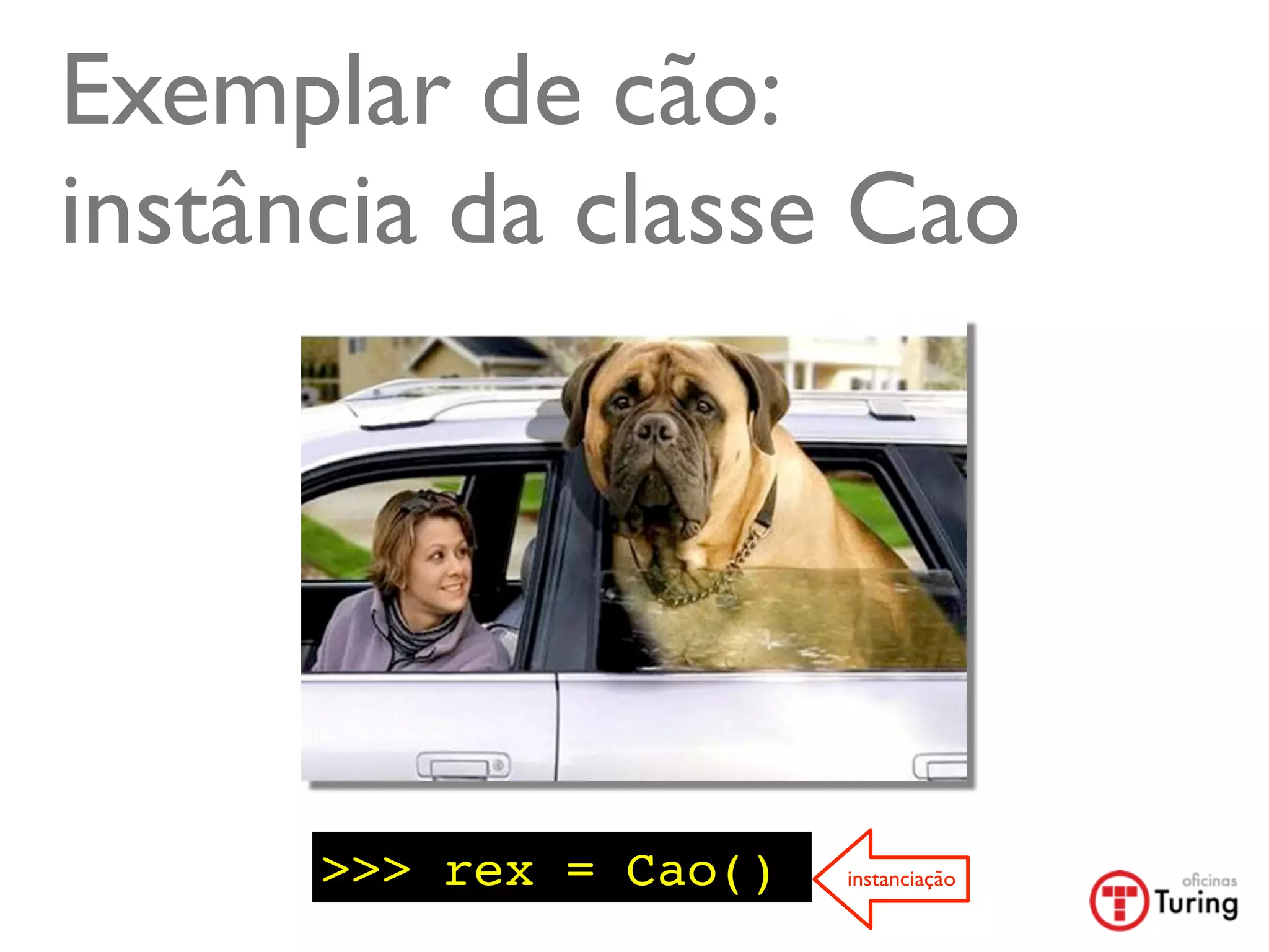 Exemplar de cão:
instância da classe Cao




      >>> rex = Cao()   instanciação
 