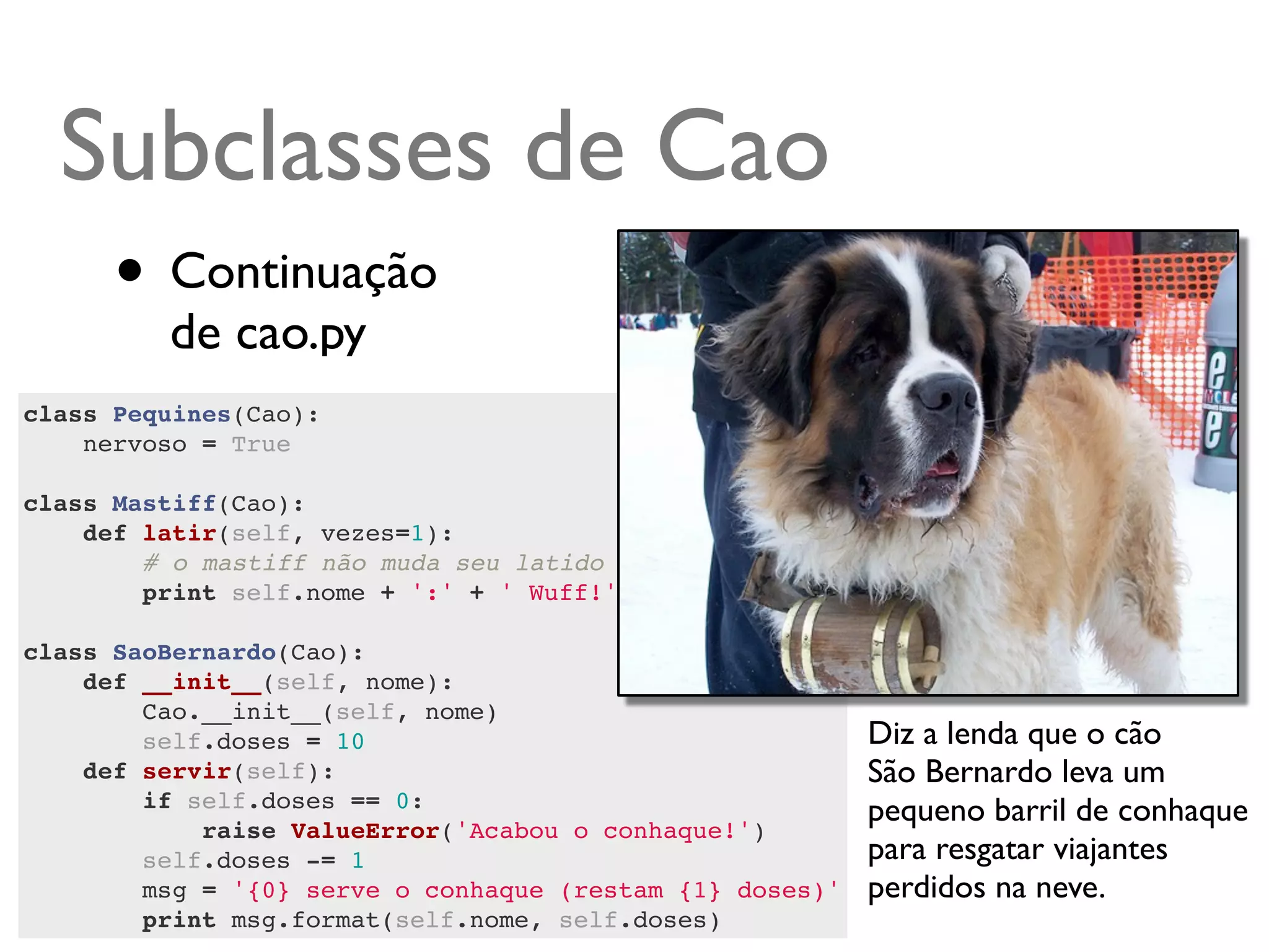Subclasses de Cao
      • Continuação
         de cao.py
class Pequines(Cao):
    nervoso = True
    
class Mastiff(Cao):
    def latir(self, vezes=1):
        # o mastiff não muda seu latido quando nervoso
        print self.nome + ':' + ' Wuff!' * vezes
        
class SaoBernardo(Cao):
    def __init__(self, nome):
        Cao.__init__(self, nome)
        self.doses = 10                                   Diz a lenda que o cão
    def servir(self):                                     São Bernardo leva um
        if self.doses == 0:                               pequeno barril de conhaque
            raise ValueError('Acabou o conhaque!')
        self.doses -= 1                                   para resgatar viajantes
        msg = '{0} serve o conhaque (restam {1} doses)'   perdidos na neve.
        print msg.format(self.nome, self.doses)
 