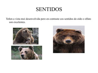 SENTIDOS
Teñen a vista moi desenvolvida pero en contraste cos sentidos do oído e olfato
son excelentes.
 