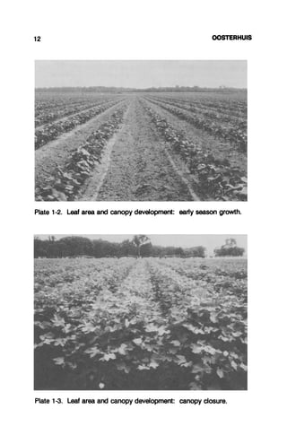 Oosterhuls - 1 Growth and Development of a Cotton Plant.pdf