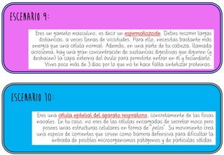 ESCENARIO 9:
ESCENARIO 10:
Eres un gameto masculino, es decir un espermatozoide. Debes recorrer largas
distancias, a veces llenas de vicisitudes. Para ello, necesitas bastante más
energía que una célula normal. Además, en una parte de tu cabeza, llamada
acrosoma, hay una gran concentración de sustancias digestivas que digieren (y
deshacen) la capa externa del óvulo para permitirte entrar en él y fecundarlo.
Vives poco más de 3 días por lo que no te hace falta sintetizar proteínas…
Eres una célula epitelial del aparato respiratorio, concretamente de las fosas
nasales. En tu caso, no eres de las células encargadas de secretar moco pero
posees unas estructuras celulares en forma de “pelos”. Su movimiento crea
una especie de corrientes que sirven como barrera defensiva para dificultar la
entrada de posibles microorganismos patógenos y de partículas sólidas.
 