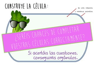 Construye la célula: ya lleva citoplasma
y membrana plasmáaática
Si acertáis las cuestiones,
conseguiréis orgánulos…
 
