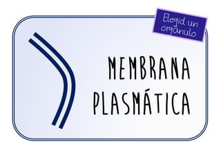 Membrana
plasmática
 