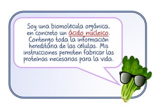 Soy una biomolécula orgánica,
en concreto un ácido nucleico.
Contengo toda la información
hereditaria de las células. Mis
instrucciones permiten fabricar las
proteínas necesarias para la vida.
 