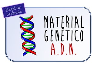 Material
Genético
a.d.n.
 