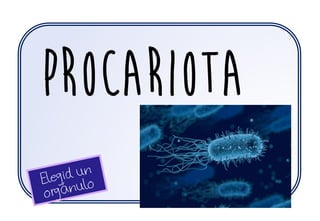 procariota
 