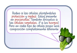 Rodeo a las células otorgándoles
protección y rigidez. Estoy presente
en procariotas. También envuelvo a
las células vegetales. ¡Y a los hongos!
Pero en cada tipo de célula poseo una
composición completamente diferente
 