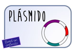 PLÁSMIDO
 