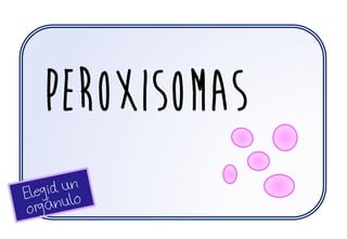 peroxisomas
 