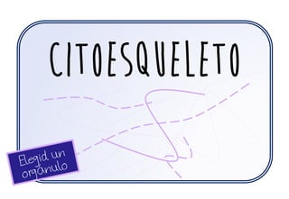 CITOESQUELETO
 
