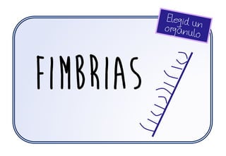 fimbrias
 