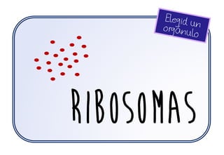 RIBOSOMAS
 