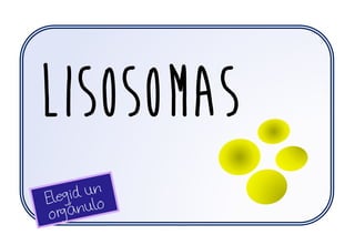 lisosomas
 