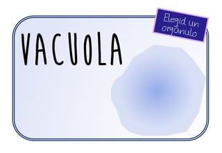 VACUOLA
 