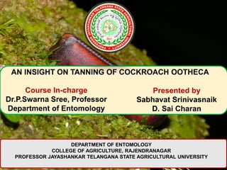 AN INSIGHT ON TANNING OF COCKROACH OOTHECA
Presented by
Sabhavat Srinivasnaik
D. Sai Charan
Course In-charge
Dr.P.Swarna Sree, Professor
Department of Entomology
DEPARTMENT OF ENTOMOLOGY
COLLEGE OF AGRICULTURE, RAJENDRANAGAR
PROFESSOR JAYASHANKAR TELANGANA STATE AGRICULTURAL UNIVERSITY
 