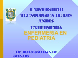 UNIVERSIDAD
   TECNOLÓGICA DE LOS
         ANDES
      ENFERMERIA
     ENFERMERIA EN
      PEDIATRIA

• LIC. BELEN GALLEGOS DE
                           1
GUEVARA.
 