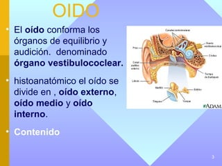 OIDO
• El oído conforma los
  órganos de equilibrio y
  audición. denominado
  órgano vestibulococlear.
• histoanatómico el oído se
  divide en , oído externo,
  oído medio y oído
  interno.
• Contenido

                              3
 