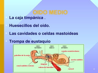 OIDO MEDIO
• La caja timpánica .
• Huesecillos del oído.
• Las cavidades o celdas mastoideas
• Trompa de eustaquio




                                      4
 