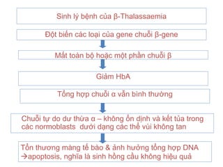 Hình ảnh Minh Họa Vector Huyết Sắc Tố Hồng Cầu Hoàn Hảo Cho Mục đích Giáo  Dục Sức Khỏe PNG  Huyết Sắc Tố Hồng Cầu Mạch Máu PNG và Vector với