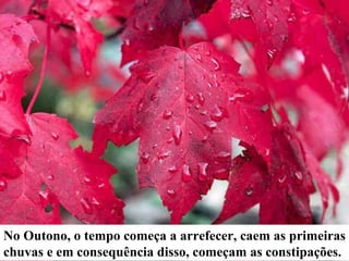 No Outono, o tempo começa a arrefecer, caem as primeiras chuvas e em consequência disso, começam as constipações. 