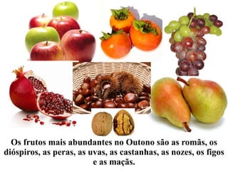 Os frutos mais abundantes no Outono são as romãs, os dióspiros, as peras, as uvas, as castanhas, as nozes, os figos e as maçãs. 