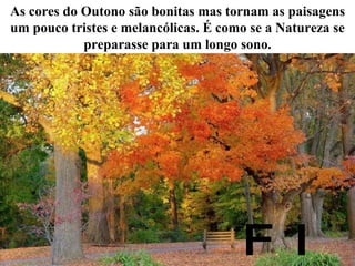 As cores do Outono são bonitas mas tornam as paisagens um pouco tristes e melancólicas. É como se a Natureza se preparasse para um longo sono. FIM 