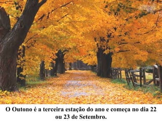 O Outono é a terceira estação do ano e começa no dia 22 ou 23 de Setembro. 