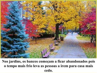 Nos jardins, os bancos começam a ficar abandonados pois o tempo mais frio leva as pessoas a irem para casa mais cedo. 