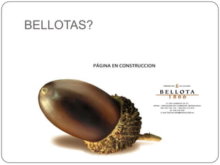 BELLOTAS?<br />