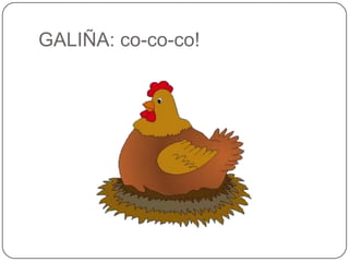 GALIÑA: co-co-co!<br />