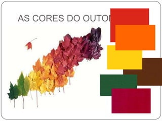 AS CORES DO OUTONO:<br />