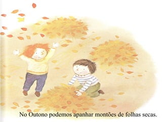 No Outono podemos apanhar montões de folhas secas.