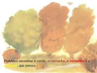 Podemos encontrar o verde , o castanho , o vermelho e o amarelo , que parece ouro .