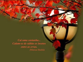 Cai uma castanha...
Calam-se de súbito os insetos
entre as ervas.
(Matsuo Bashô)

 