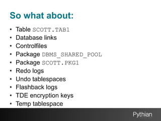 So what about:
• 
• 
• 
• 
• 
• 
• 
• 
• 
• 

Table SCOTT.TAB1
Database links
Controlfiles
Package DBMS_SHARED_POOL
Package SCOTT.PKG1
Redo logs
Undo tablespaces
Flashback logs
TDE encryption keys
Temp tablespace

 